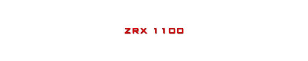 ZRX 1100