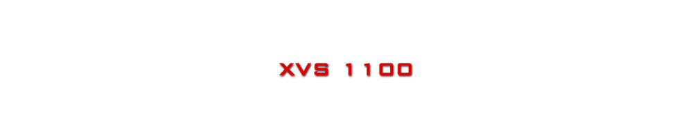 XVS 1100