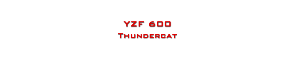 YZF 600 Thundercat