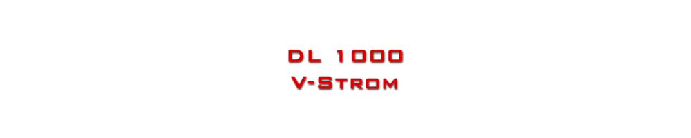 DL 1000 V-STROM