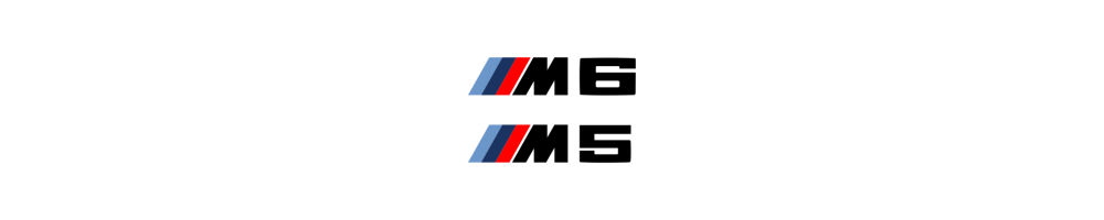 M5 M6